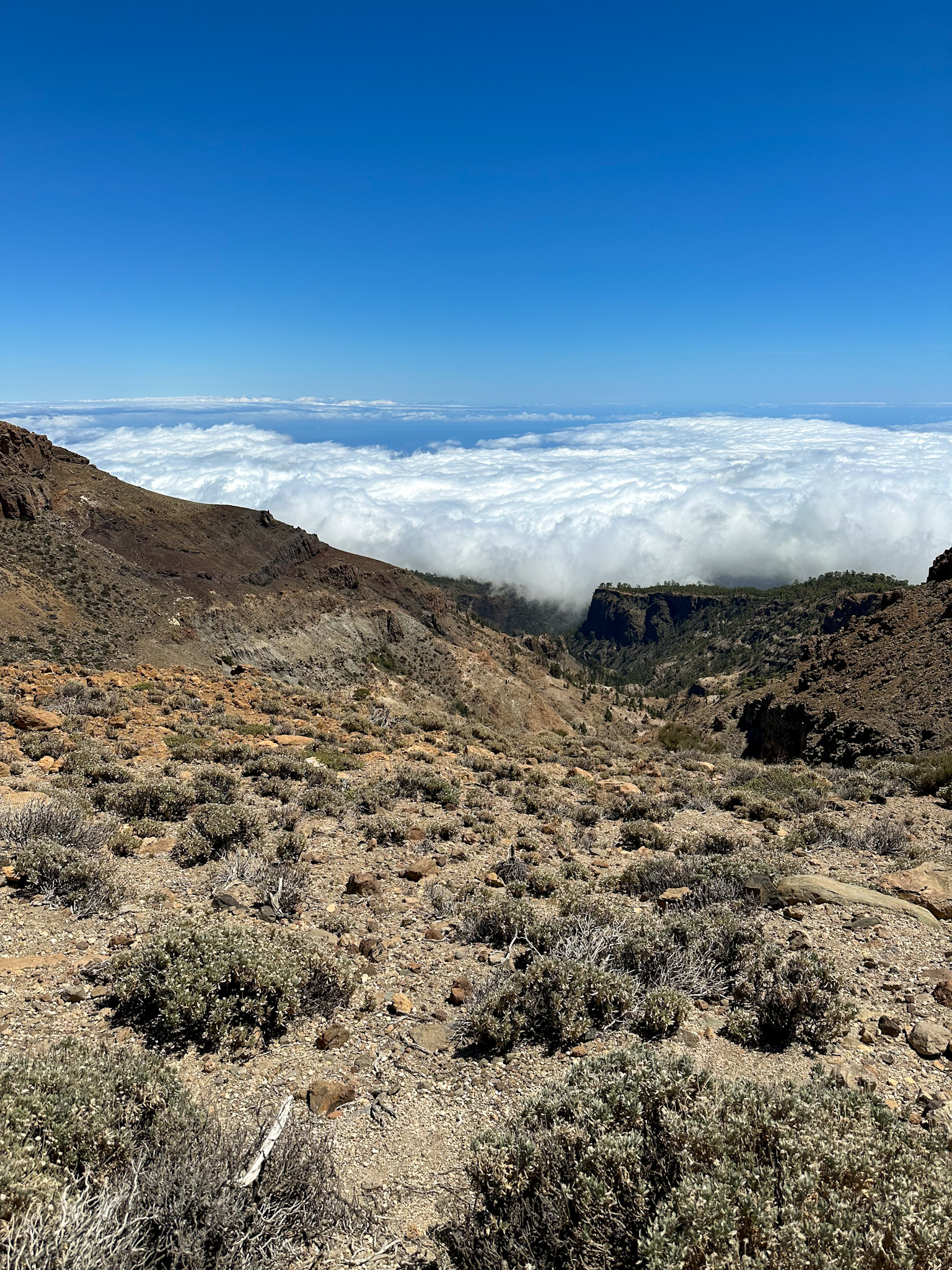 mount guajara trail landscape